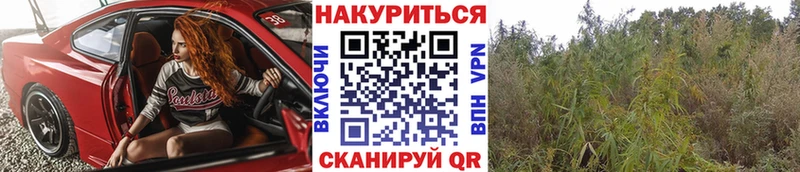 Как найти закладки Усолье-Сибирское COCAIN  ЭКСТАЗИ  ГАШИШ  APVP  АМФЕТАМИН  Марихуана  Мефедрон 