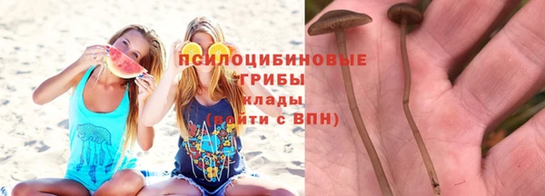 ALPHA PVP Армянск