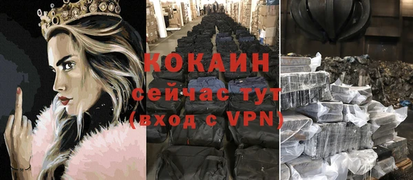ПСИЛОЦИБИНОВЫЕ ГРИБЫ Арсеньев