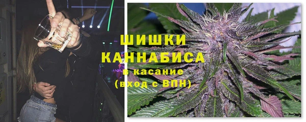 ПСИЛОЦИБИНОВЫЕ ГРИБЫ Арсеньев